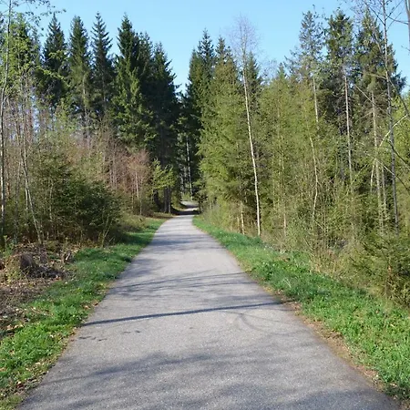 Lipno Wellness - C106**** *